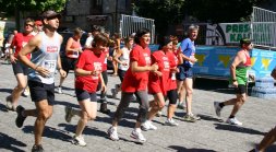 elkartasun eguna 2008 dv.jpg